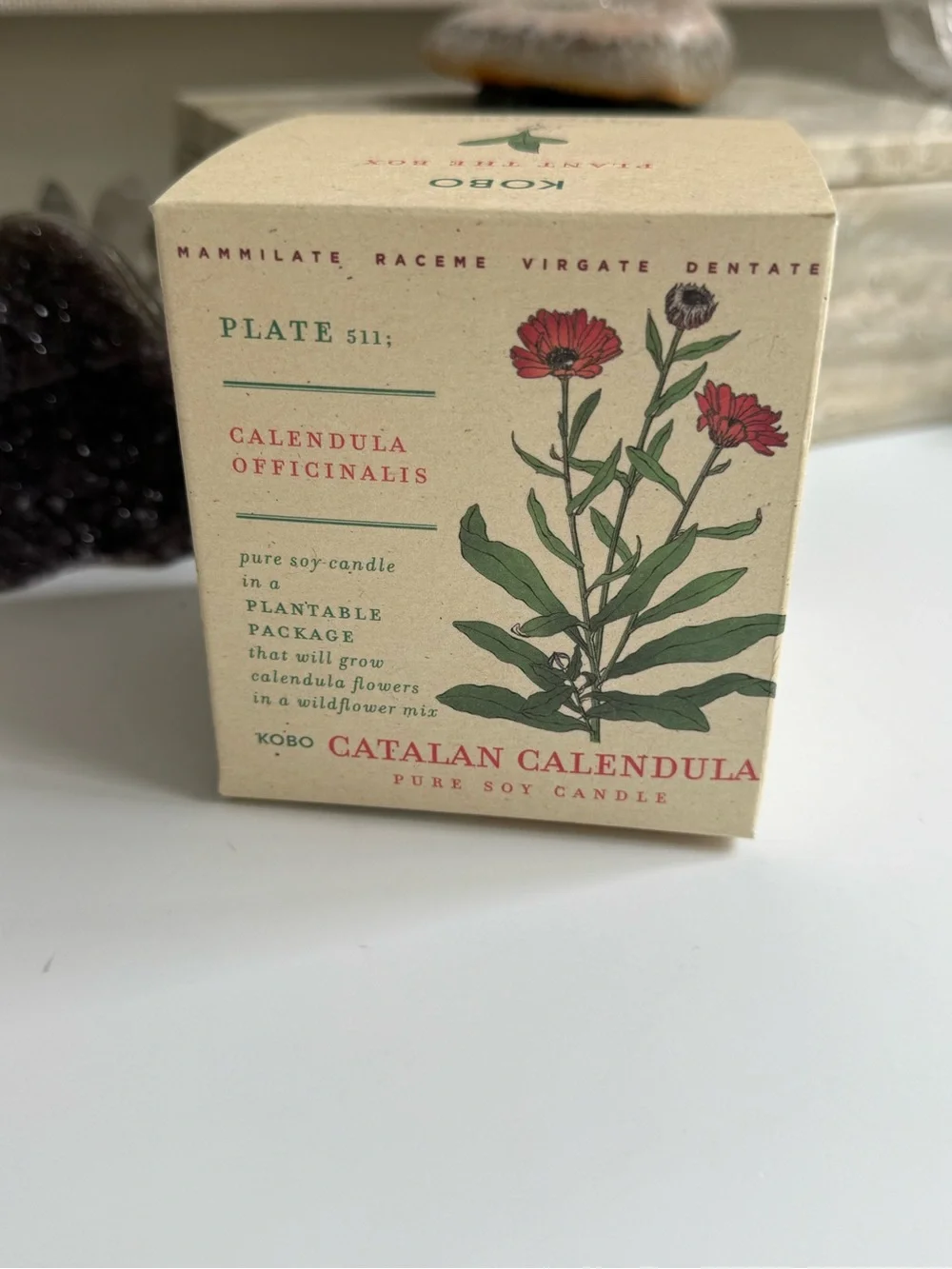 KOBO NIB Catalan Calendula candle - Picture 6 of 7